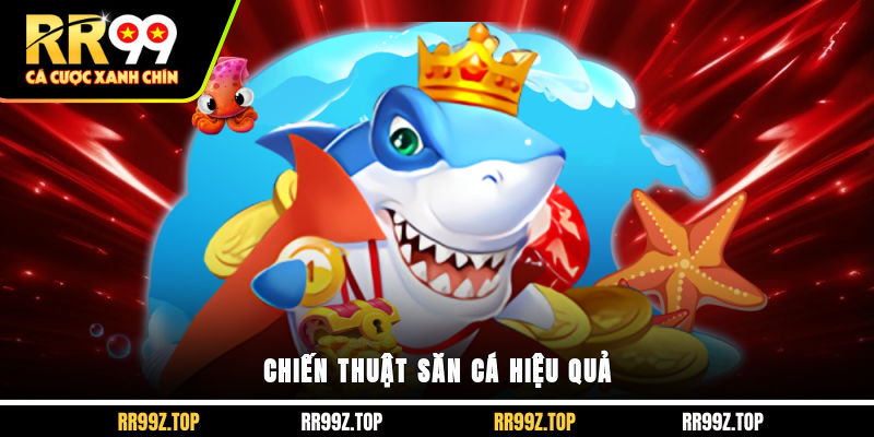 Chiến thuật săn cá hiệu quả